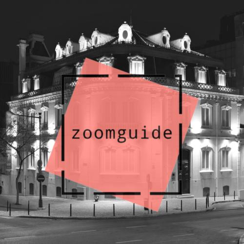 ZoomguideMMA